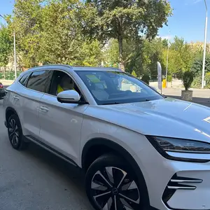 BYD Song Plus Flagship, 2024