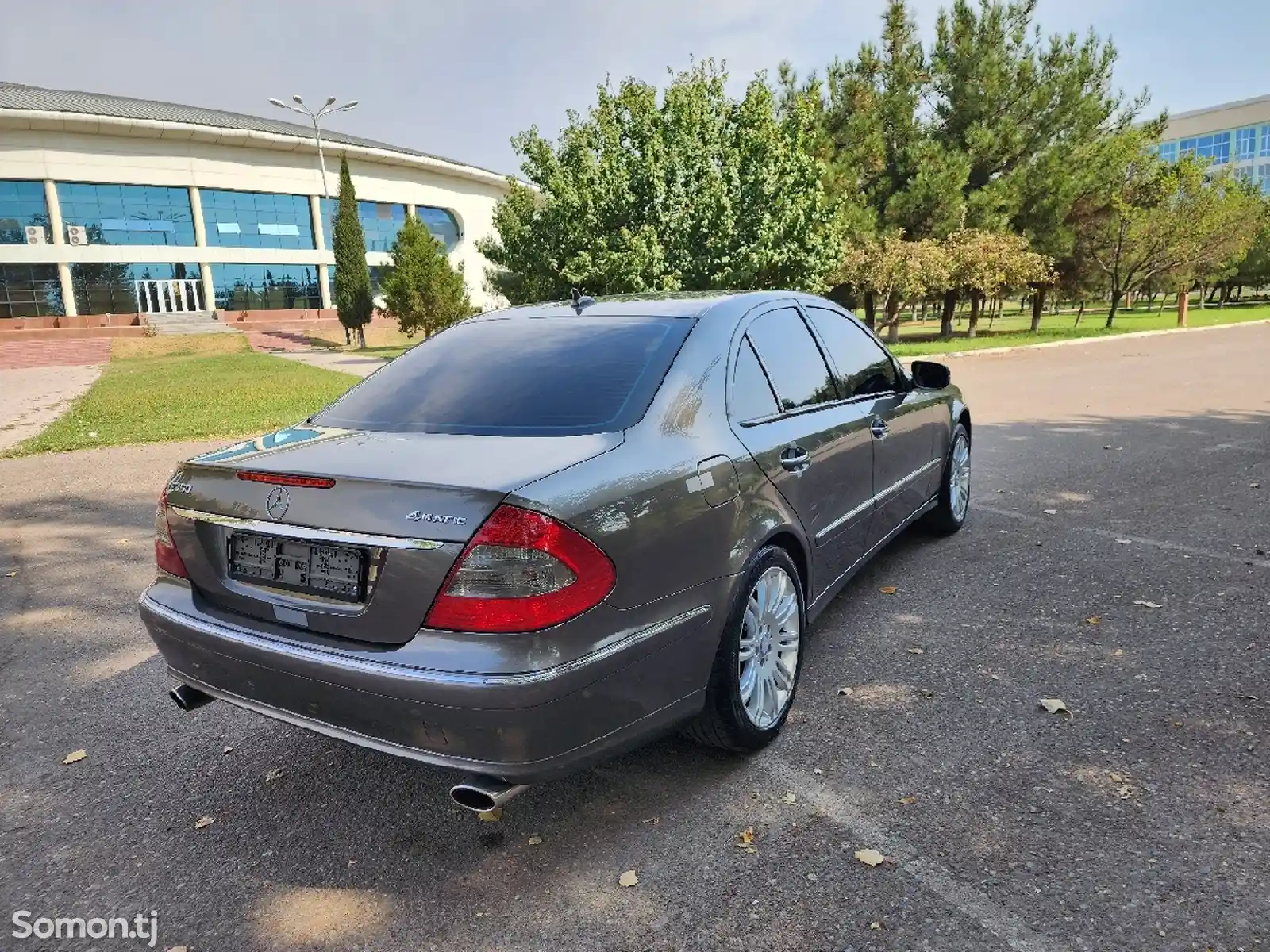 Mercedes-Benz E class, 2008-6