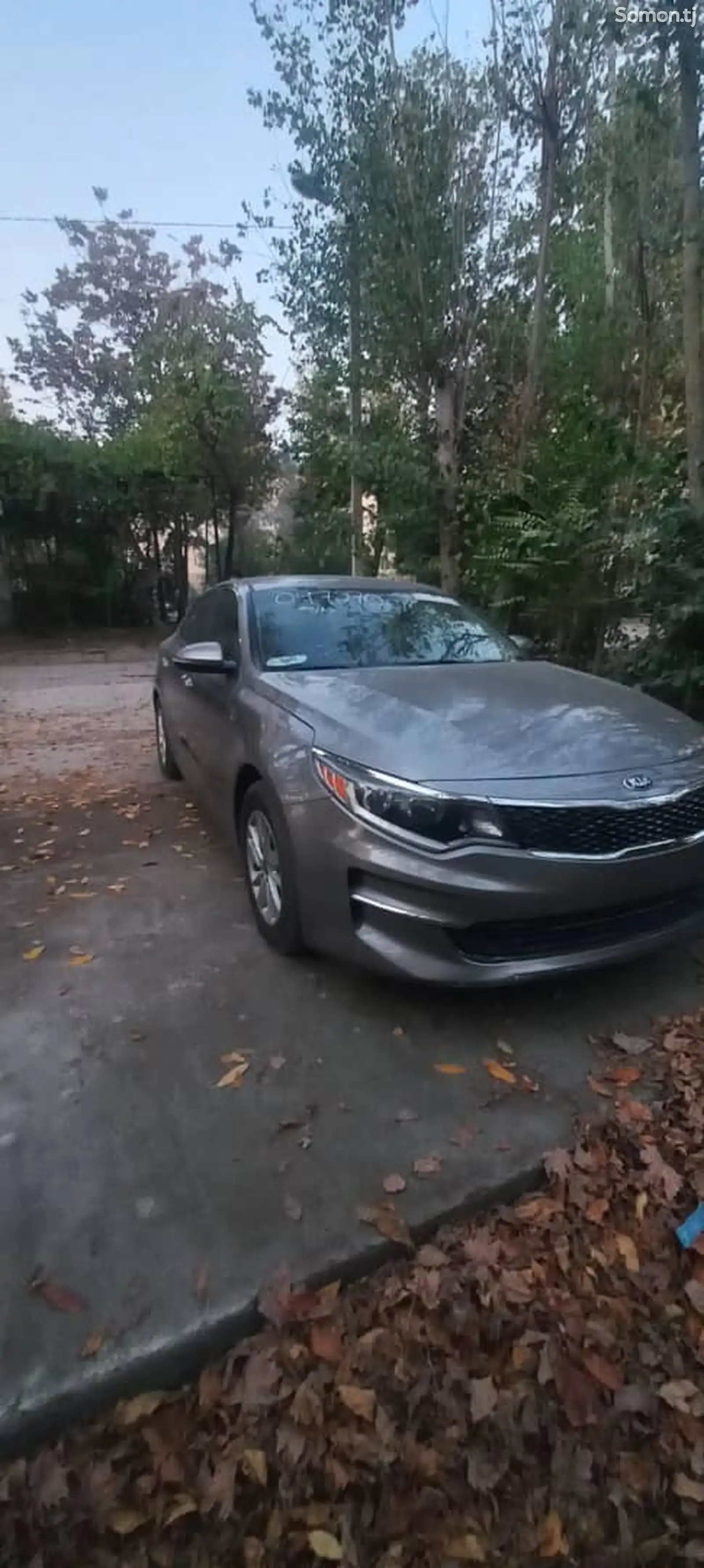 Kia Optima, 2017-1