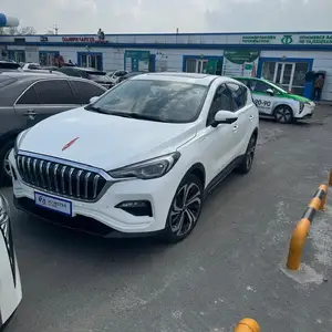 Hongqi E-HS9, 2019