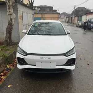 BYD E2, 2024