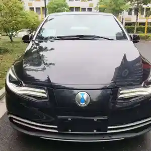 BYD Другие модели, 2019