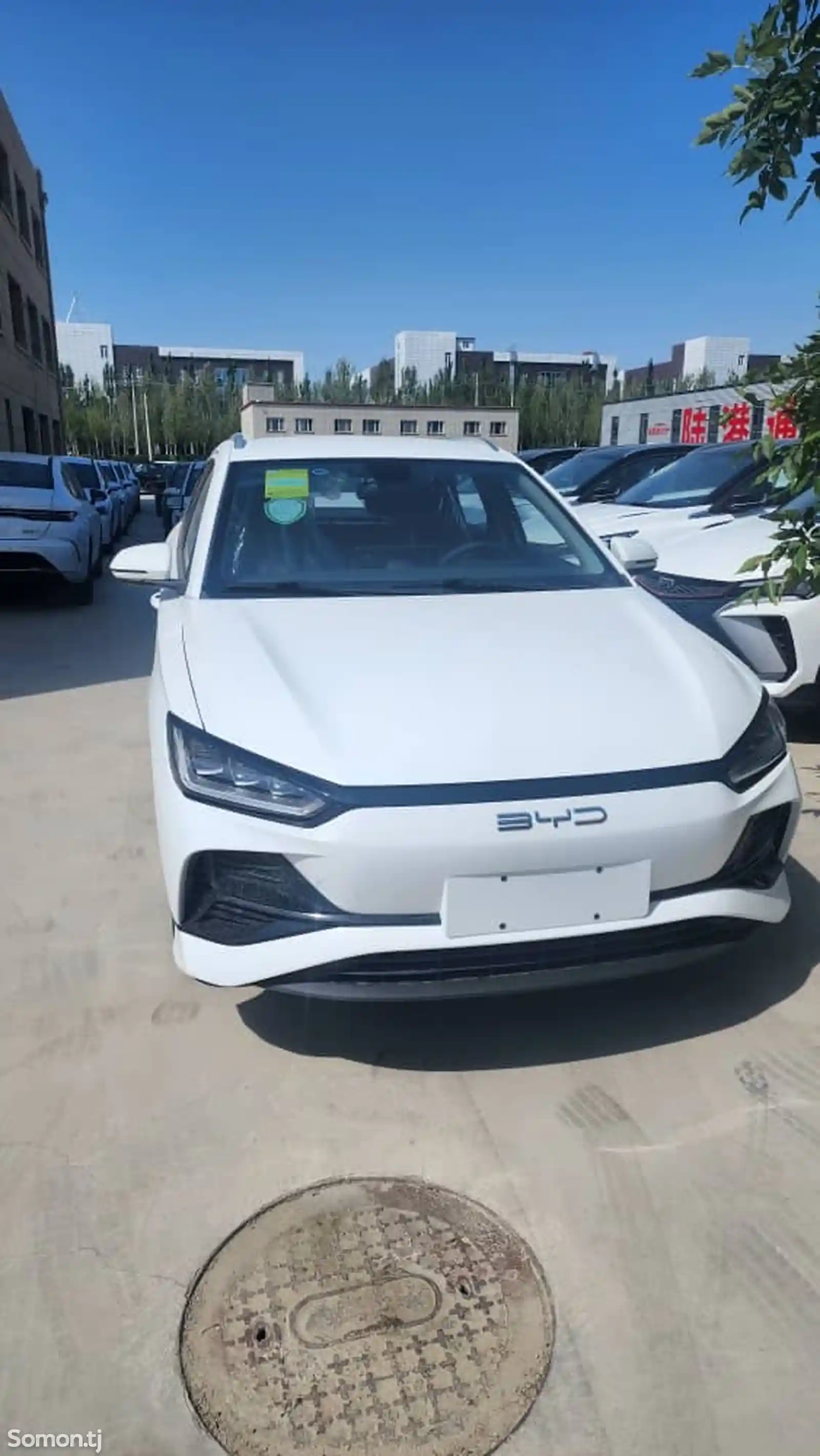 BYD E2, 2024-1