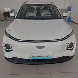 Geely Geometry E, 2024