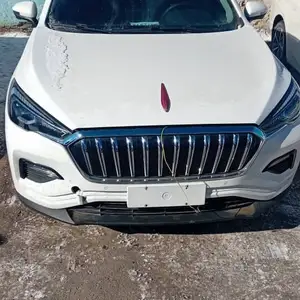 Hongqi E-HS3, 2019