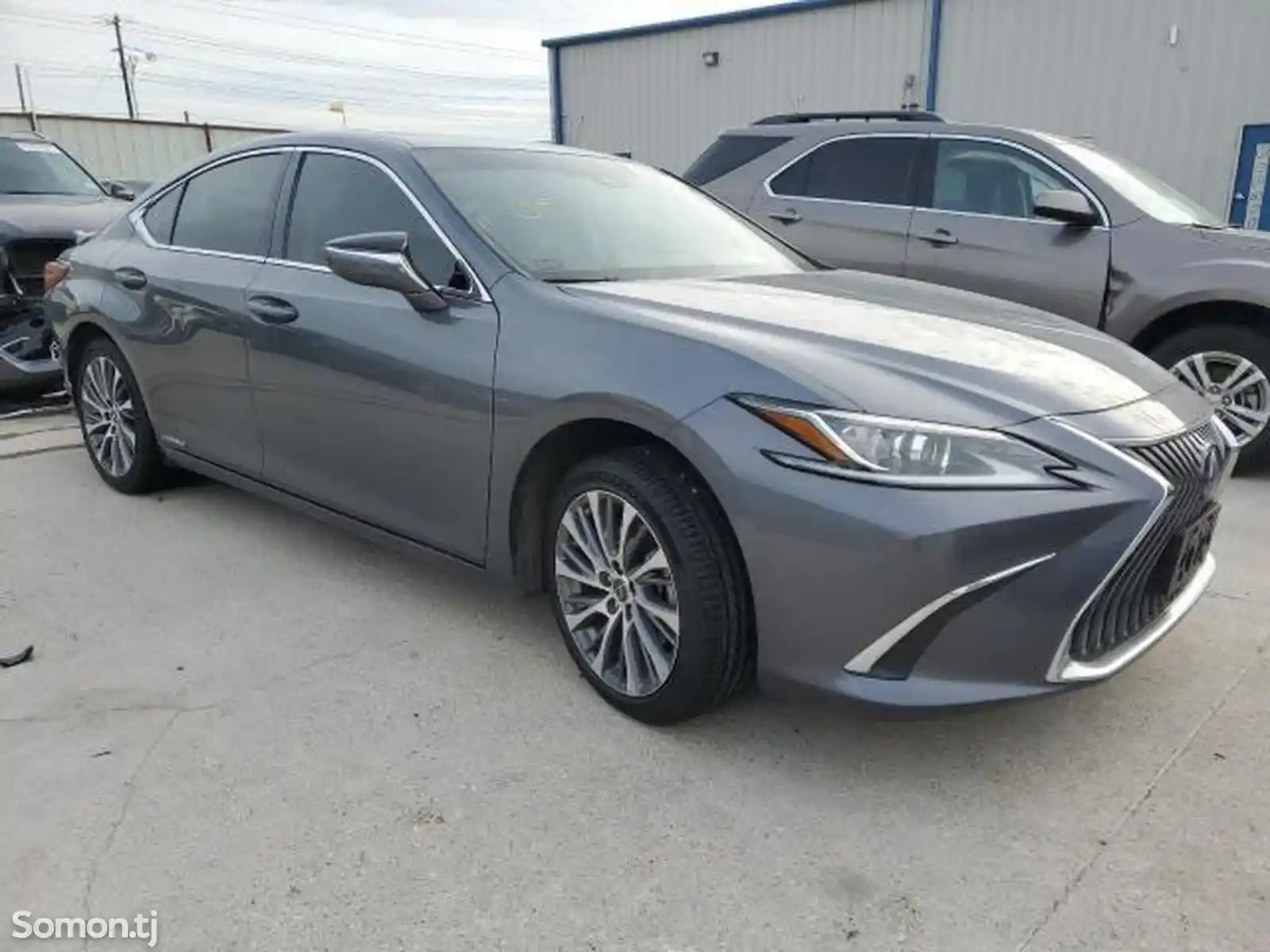 Lexus ES series, 2019-2