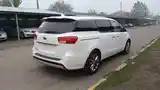 Kia Carnival, 2016-3