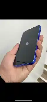 Apple iPhone Xr, 128 gb, Blue-6