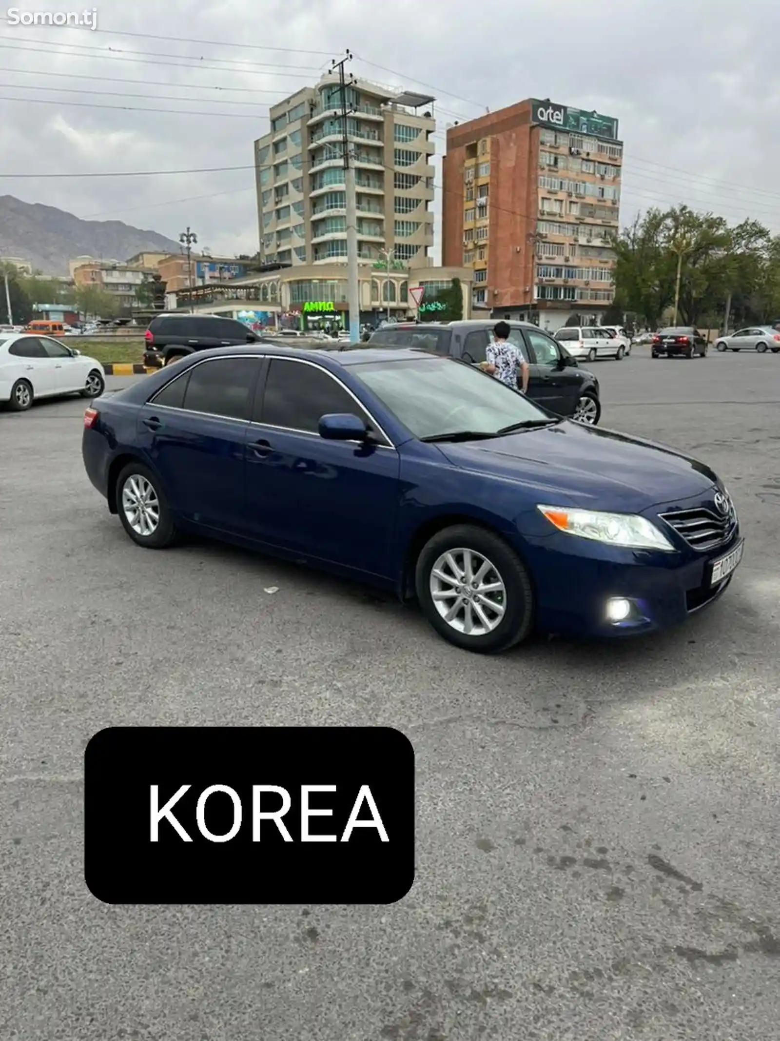 Toyota Camry Gracia, 2010-1