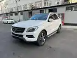 Mercedes-Benz ML class, 2015-3