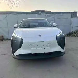 Dongfeng Forthing, 2024