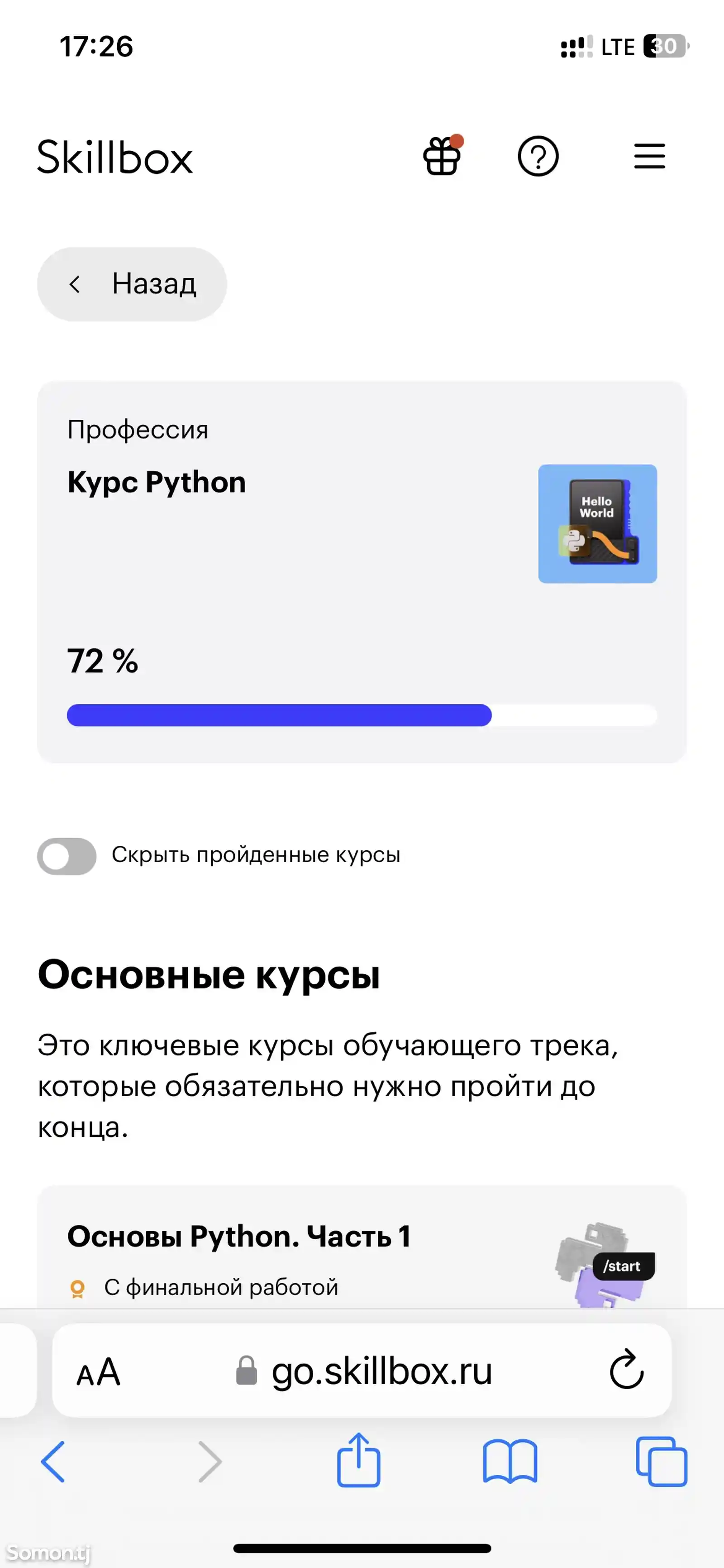 Курс Python разработчик от Skillbox-1