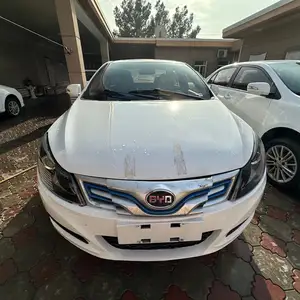 BYD E3, 2019