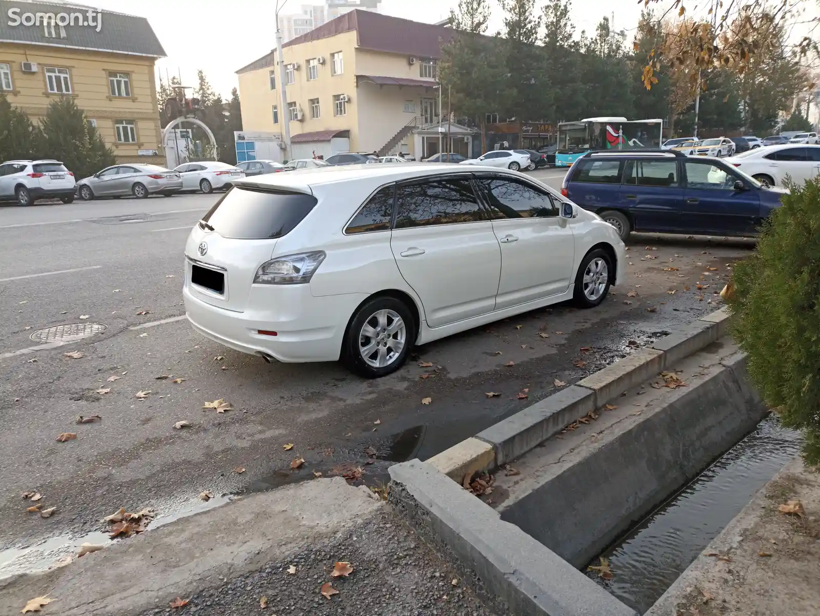 Toyota Mark X ZiO, 2010-2