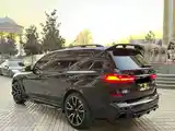 BMW X7, 2020-5