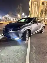 Lexus NX series, 2019-4