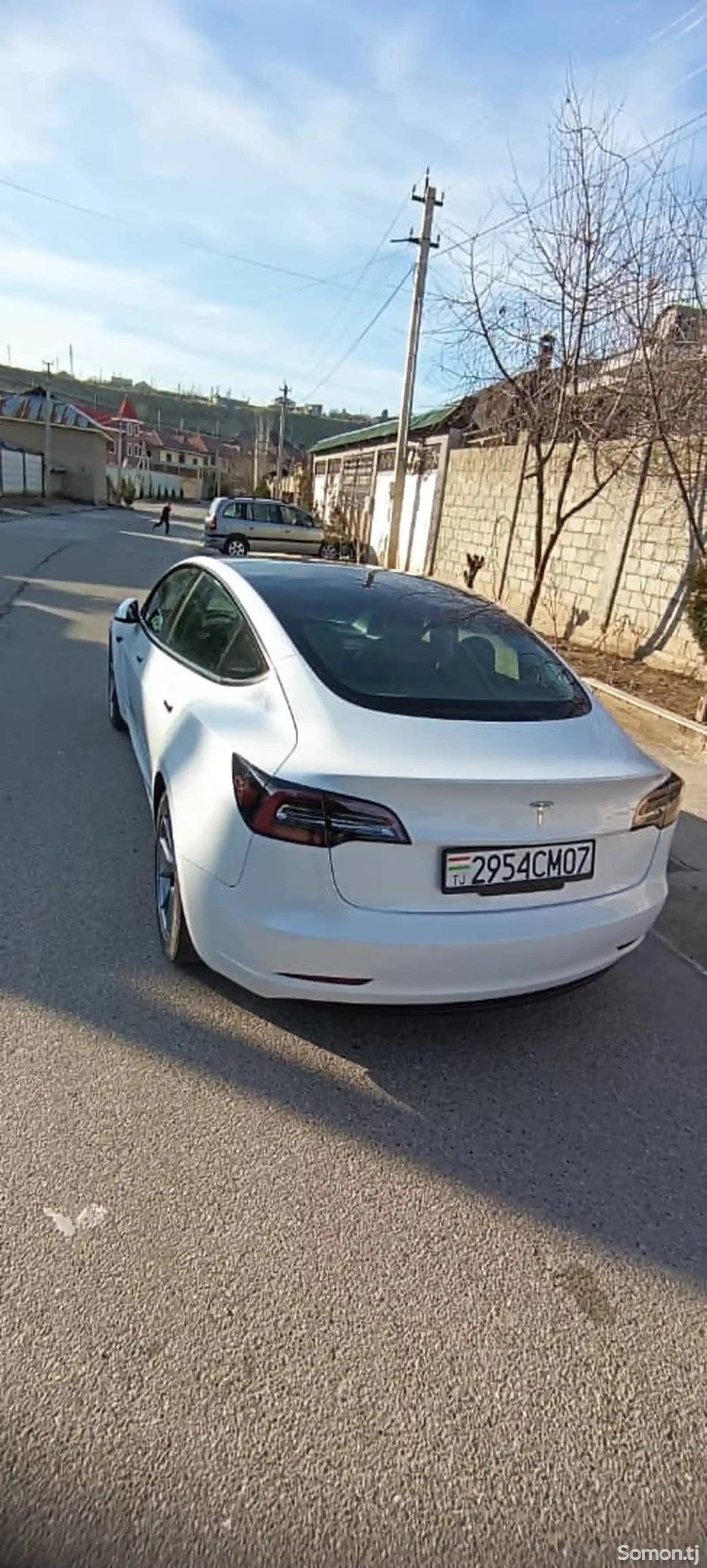 Tesla Model 3, 2021-3