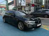 BMW 5 series, 2017-4