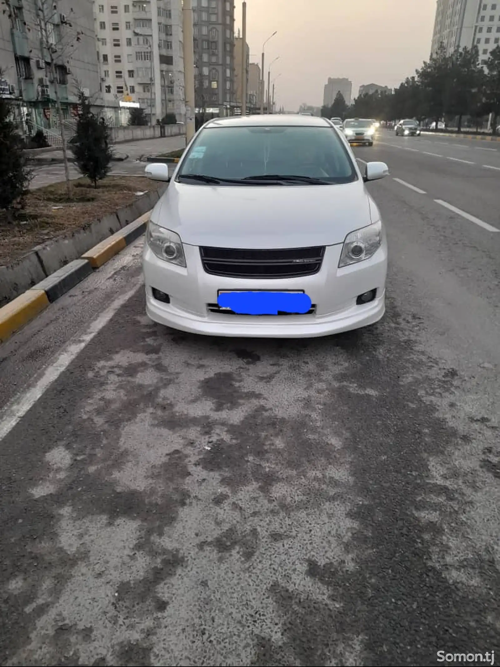 Toyota Fielder, 2008-1