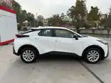 Toyota C-HR, 2024-6