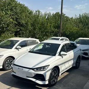 BYD E2, 2024