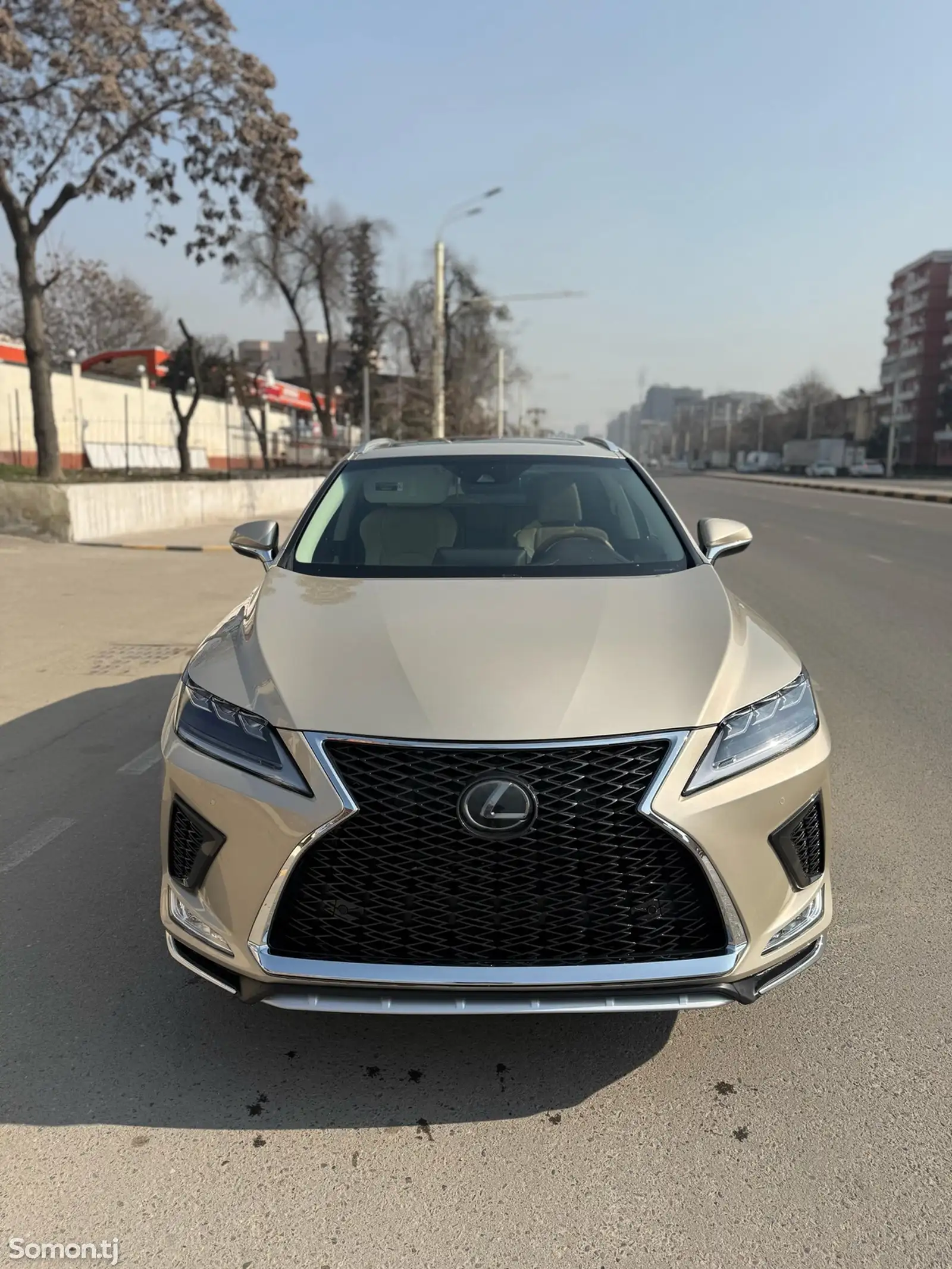 Lexus RX series, 2019-1