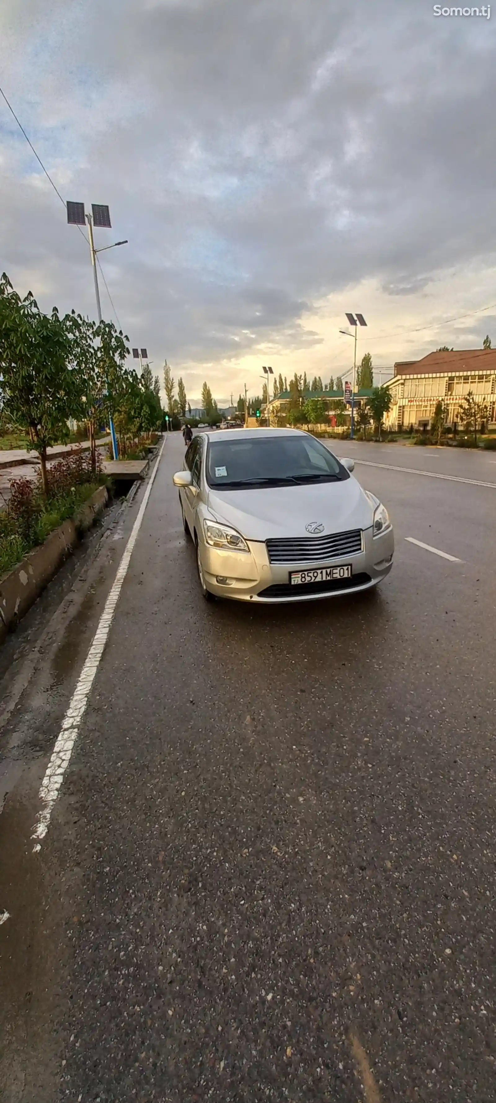 Toyota Mark X ZiO, 2010-1