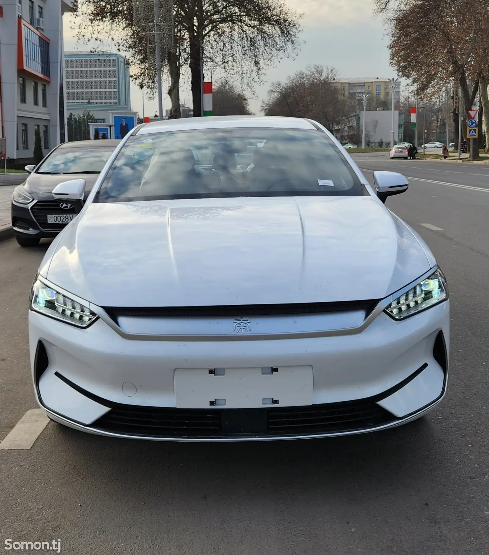 BYD Qin Plus, 2024-1