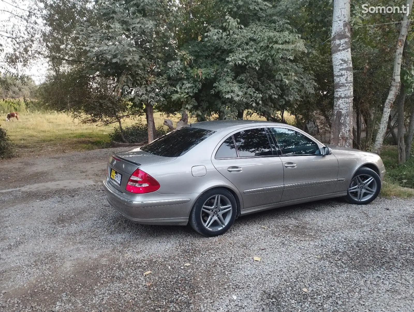 Mercedes-Benz E class, 2004-5