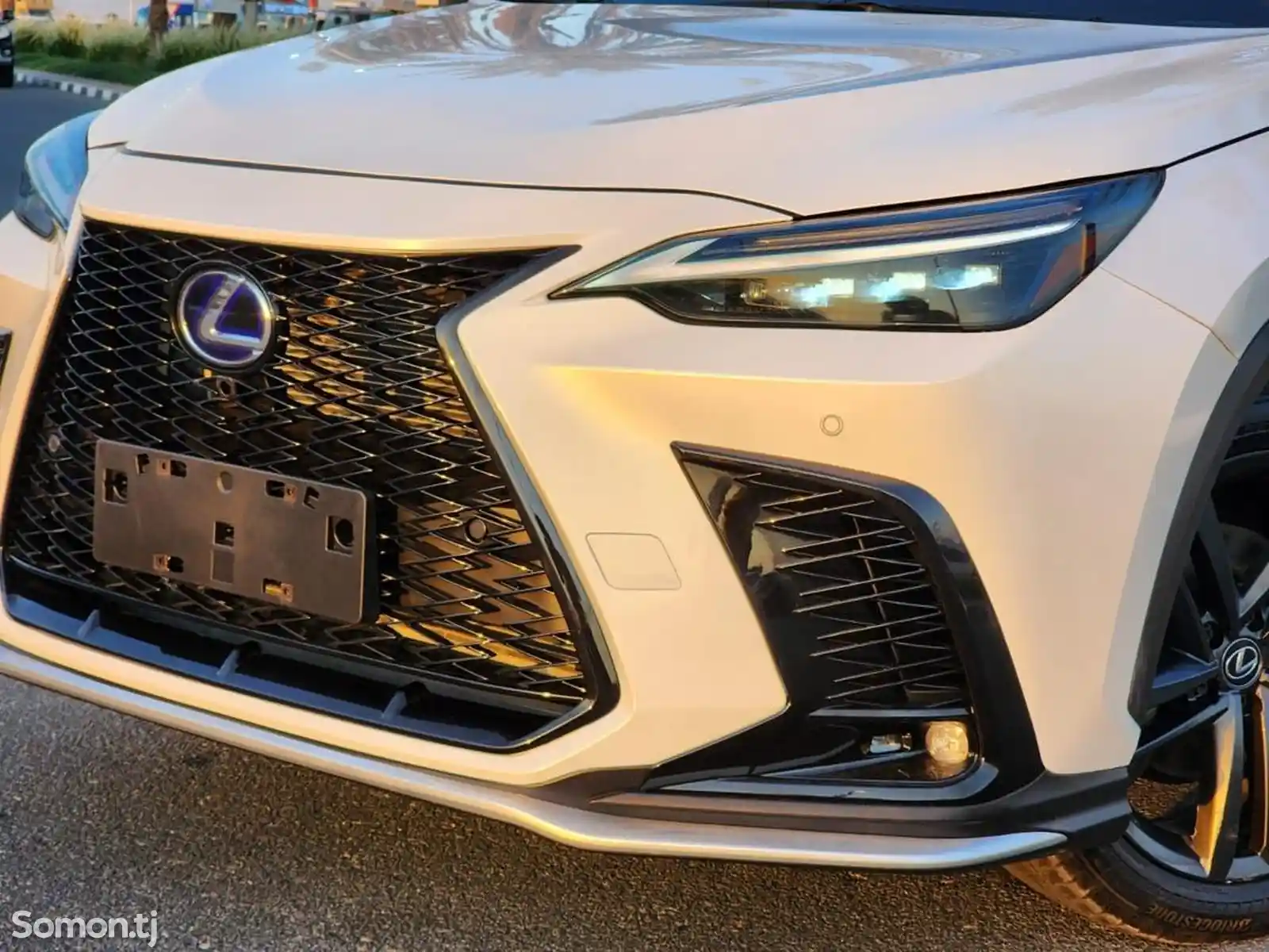 Lexus NX series, 2023-8