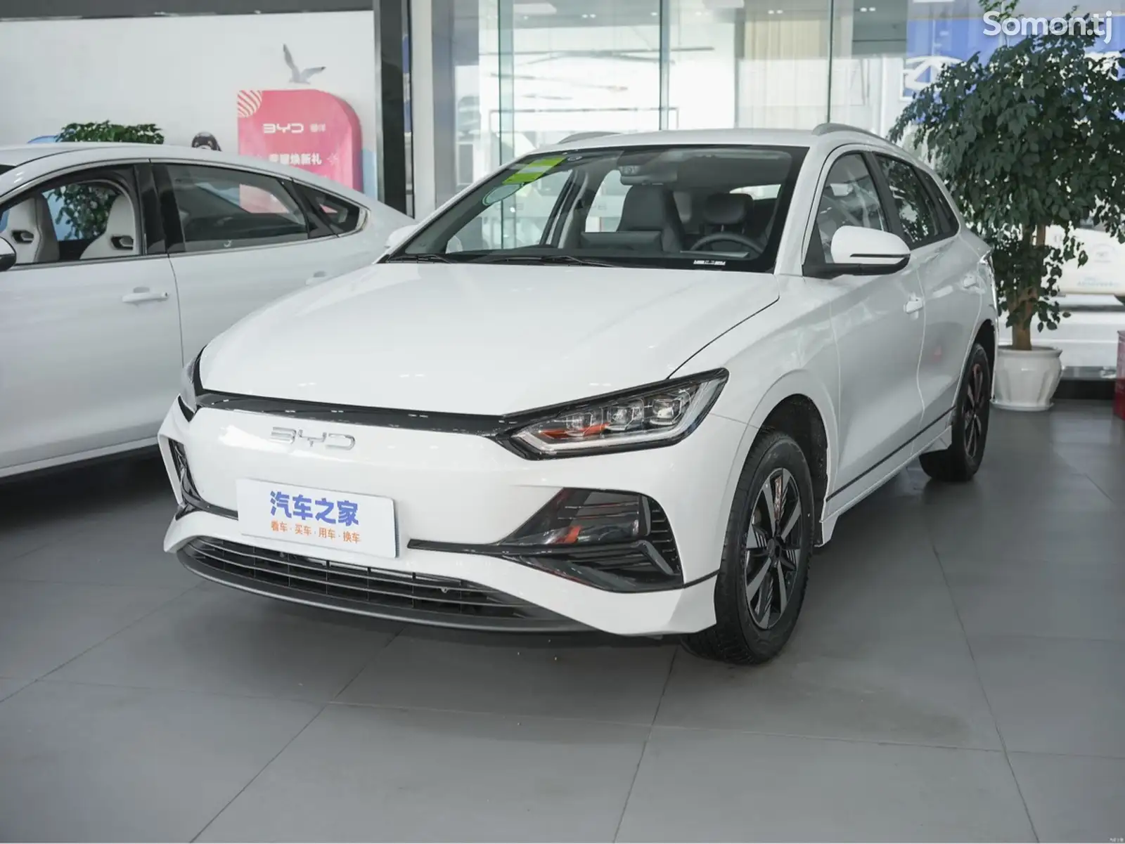 BYD E2, 2024-1