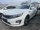 Kia K series, 2014-15