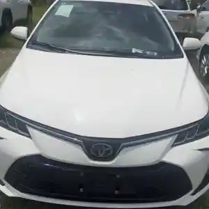 Toyota Corolla, 2024