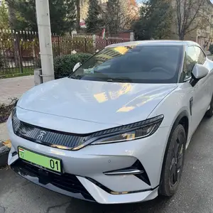 BYD Song, 2024