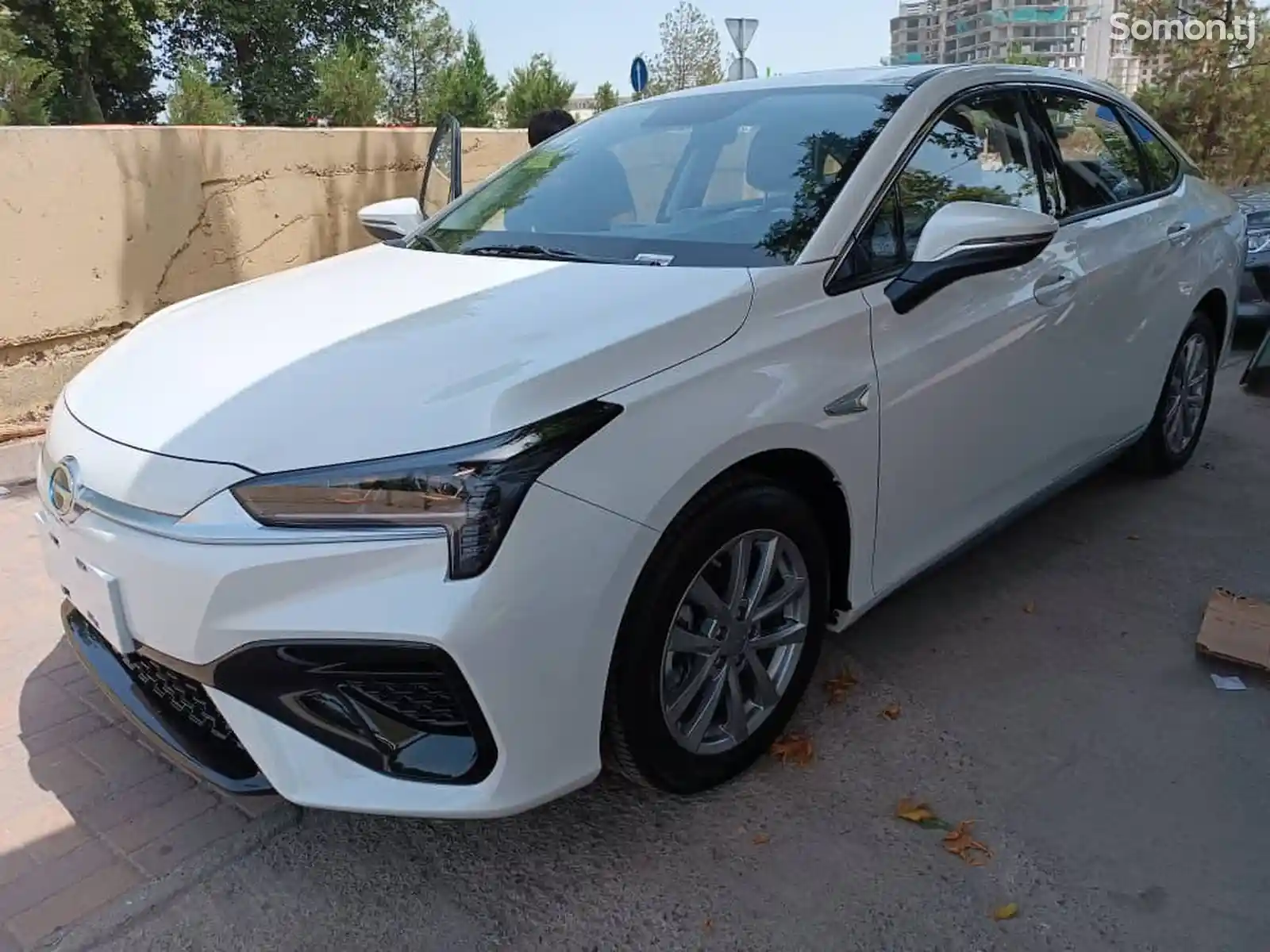 BYD, 2024-2