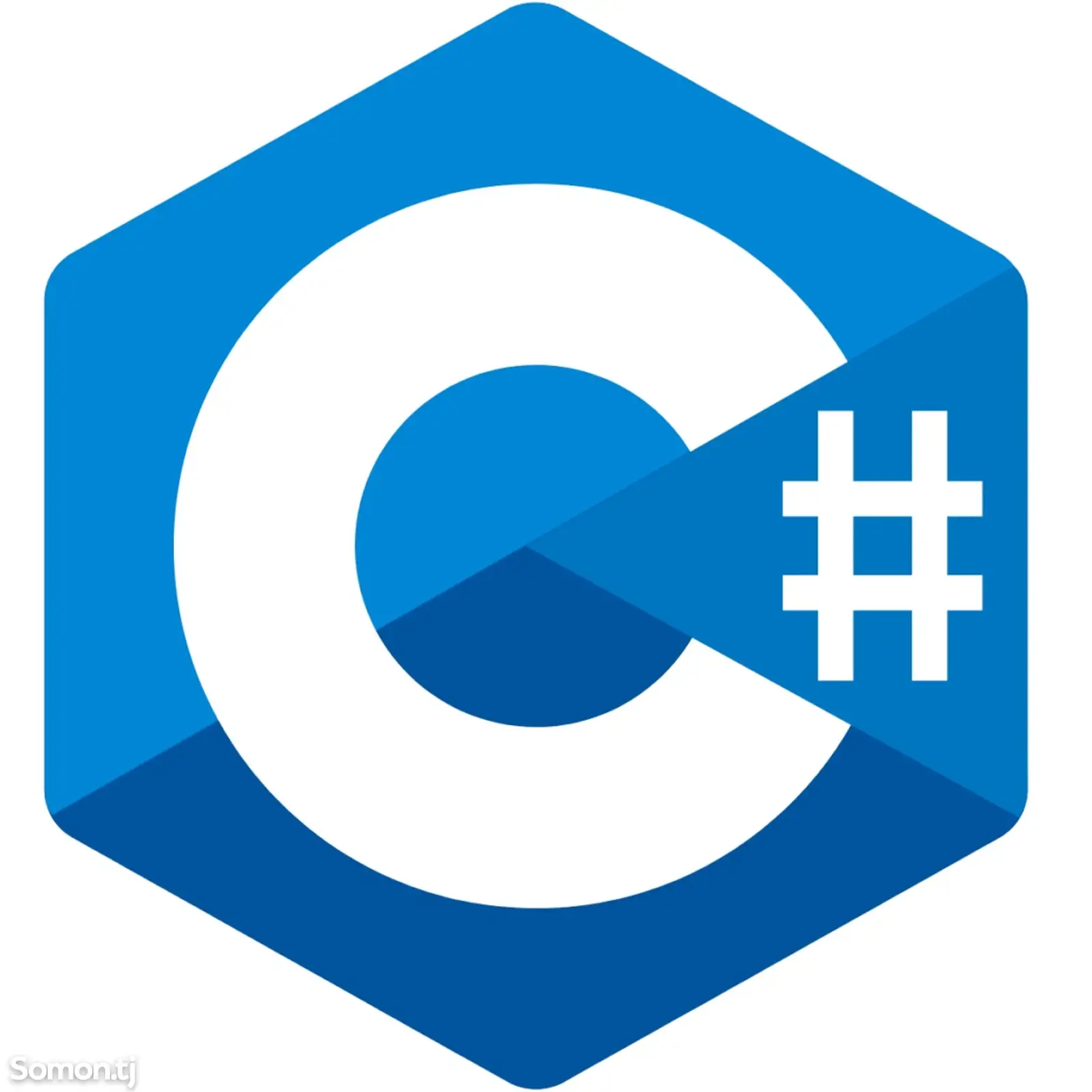 Дополнительные уроки по программированию, CSharp