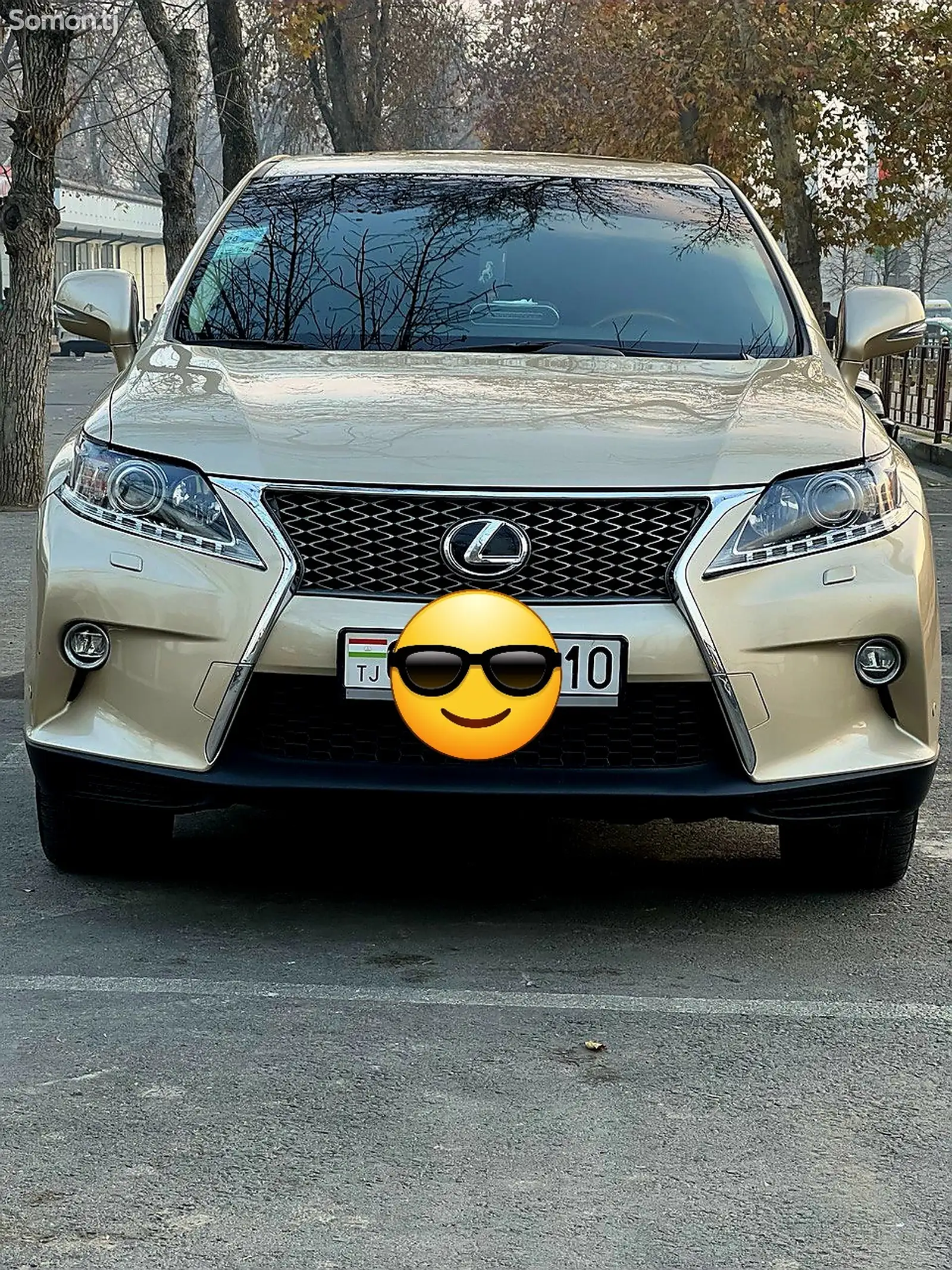 Lexus RX series, 2010-1