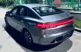 BYD Song Plus Flagship, 2024-2