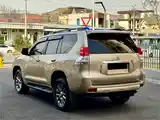 Toyota Land Cruiser Prado, 2010-6