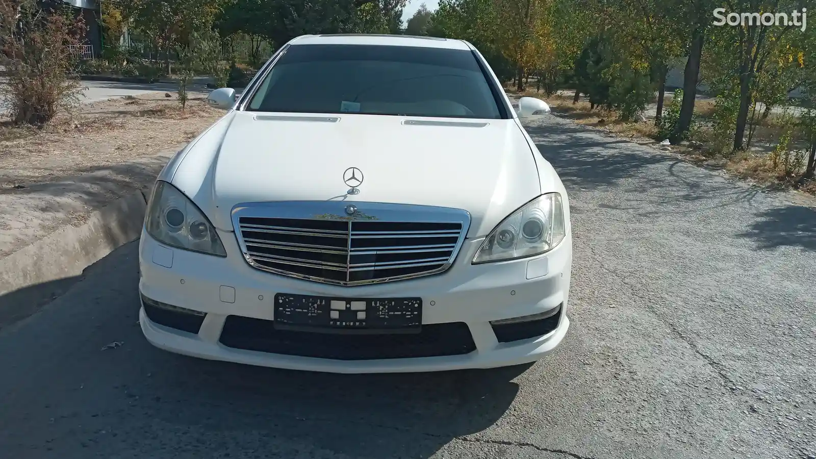 Mercedes-Benz S class, 2006-1