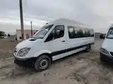 Микроавтобус mercedes-benz sprinter, 2006-3