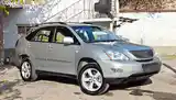 Lexus RX series, 2006-3