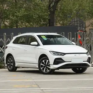 BYD E2, 2024