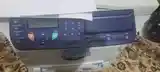 Принтер Xerox phaser 3100-3