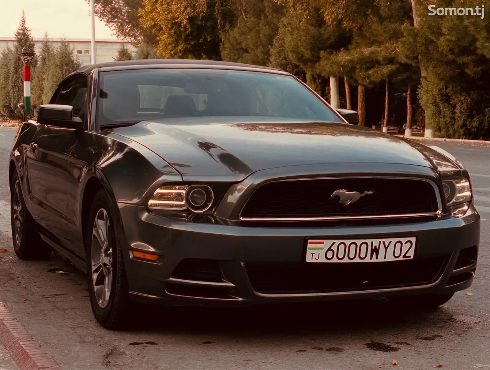 Ford Mustang, 2014-1