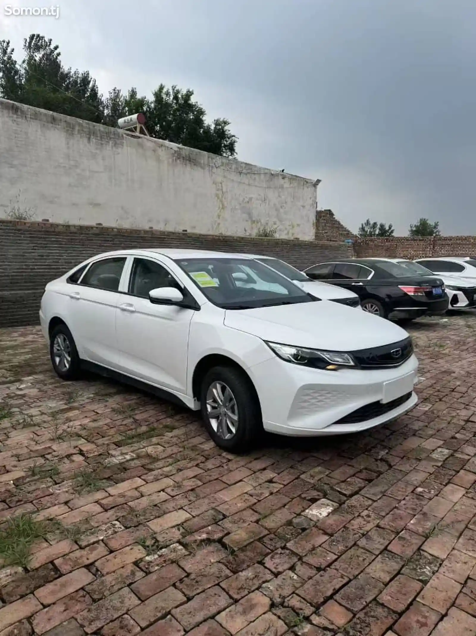 BYD E2, 2024-4