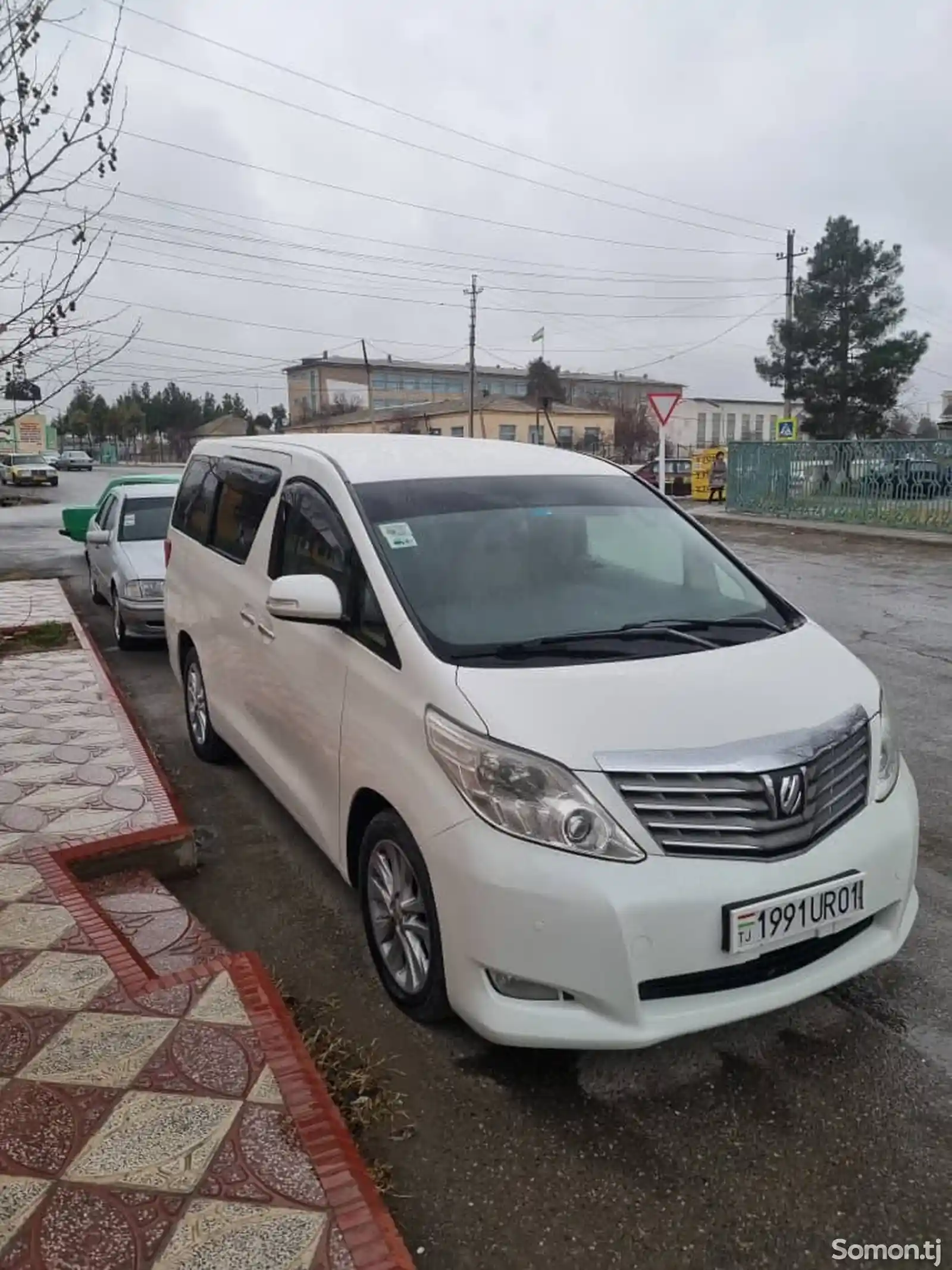 Toyota Alphard, 2009-6