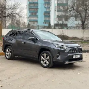 Toyota RAV 4, 2023