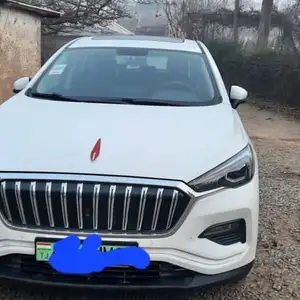 Hongqi E-HS3, 2019