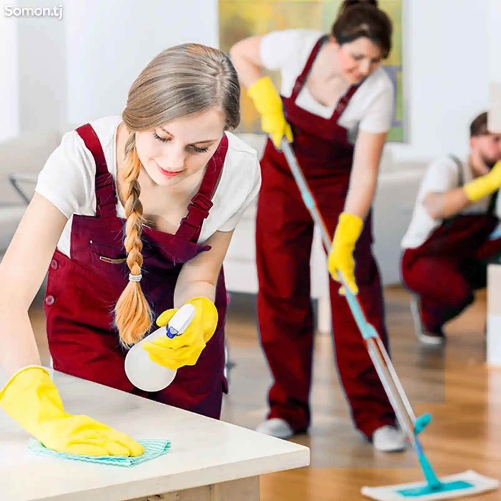 Услуги по чистке и уборке квартир и домов-1